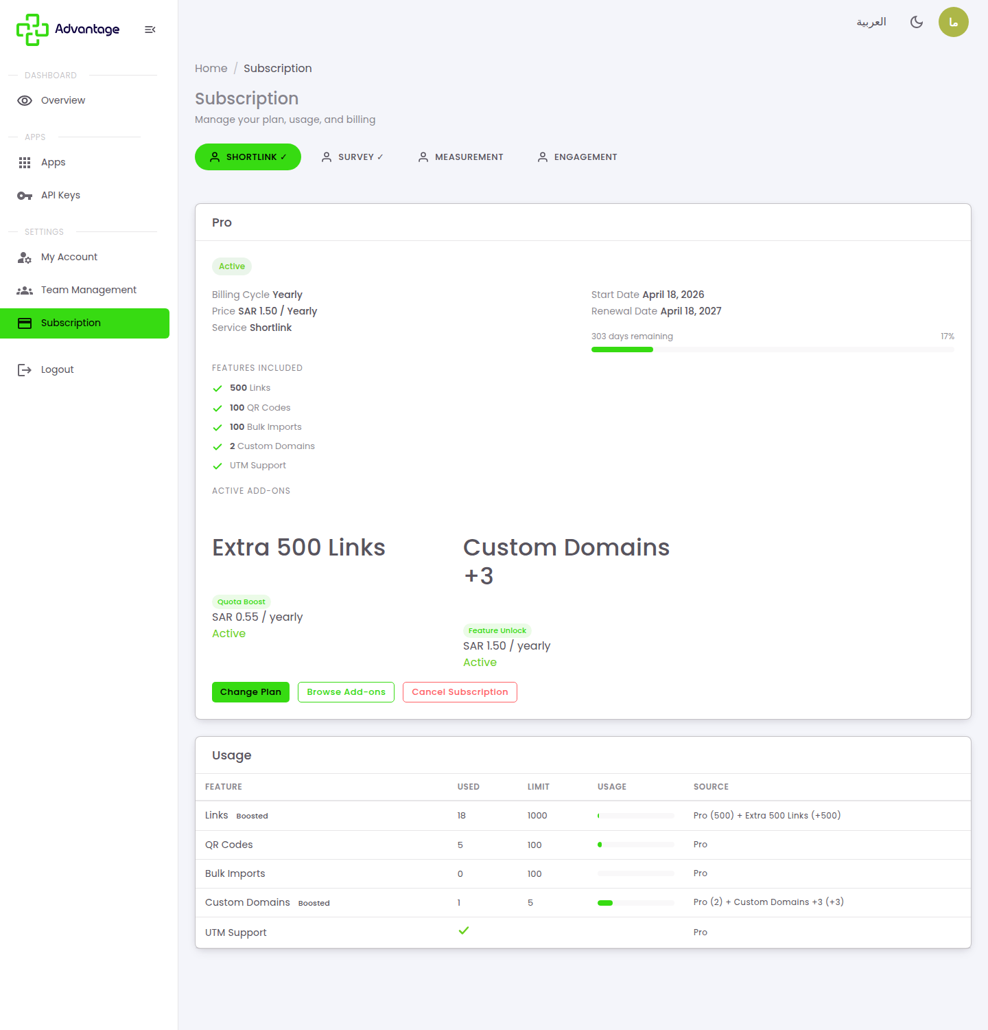 Subscription overview with active add-ons and usage
